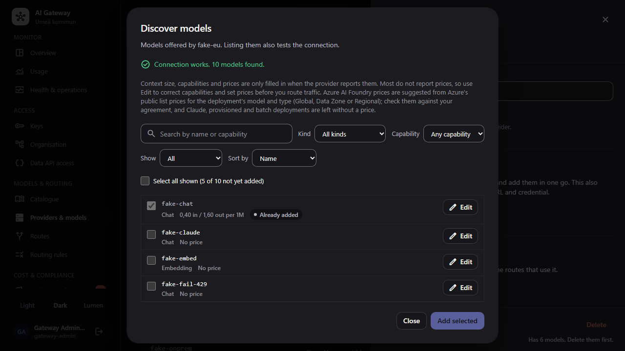 The Discover models dialog listing models from a provider