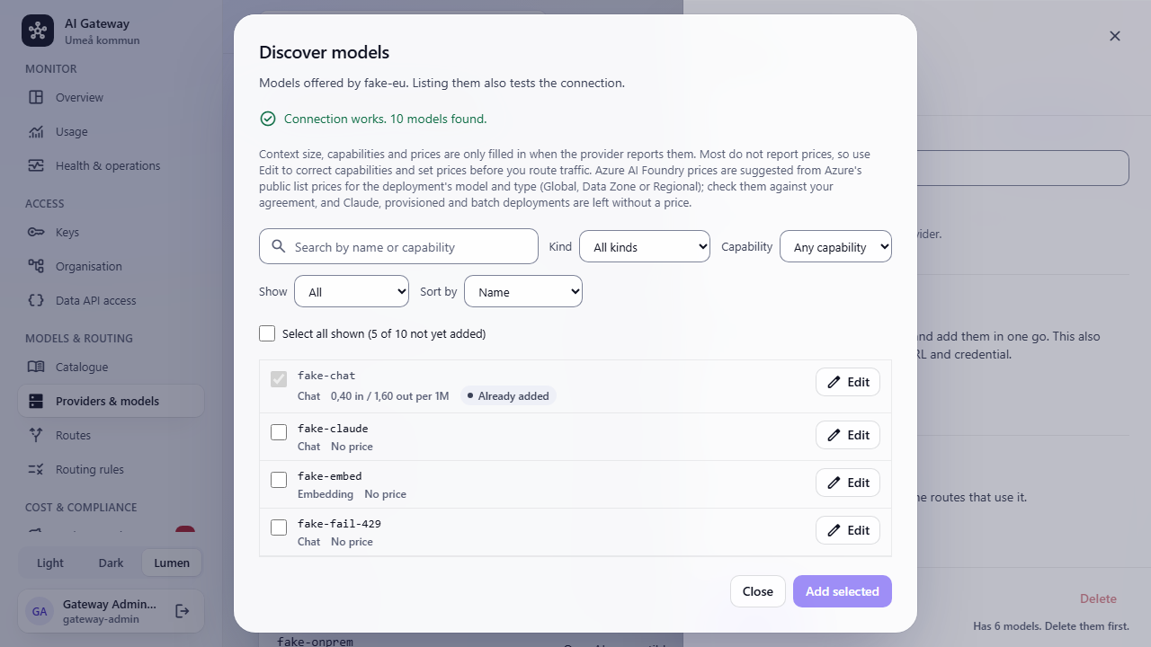 The Discover models dialog listing models from a provider