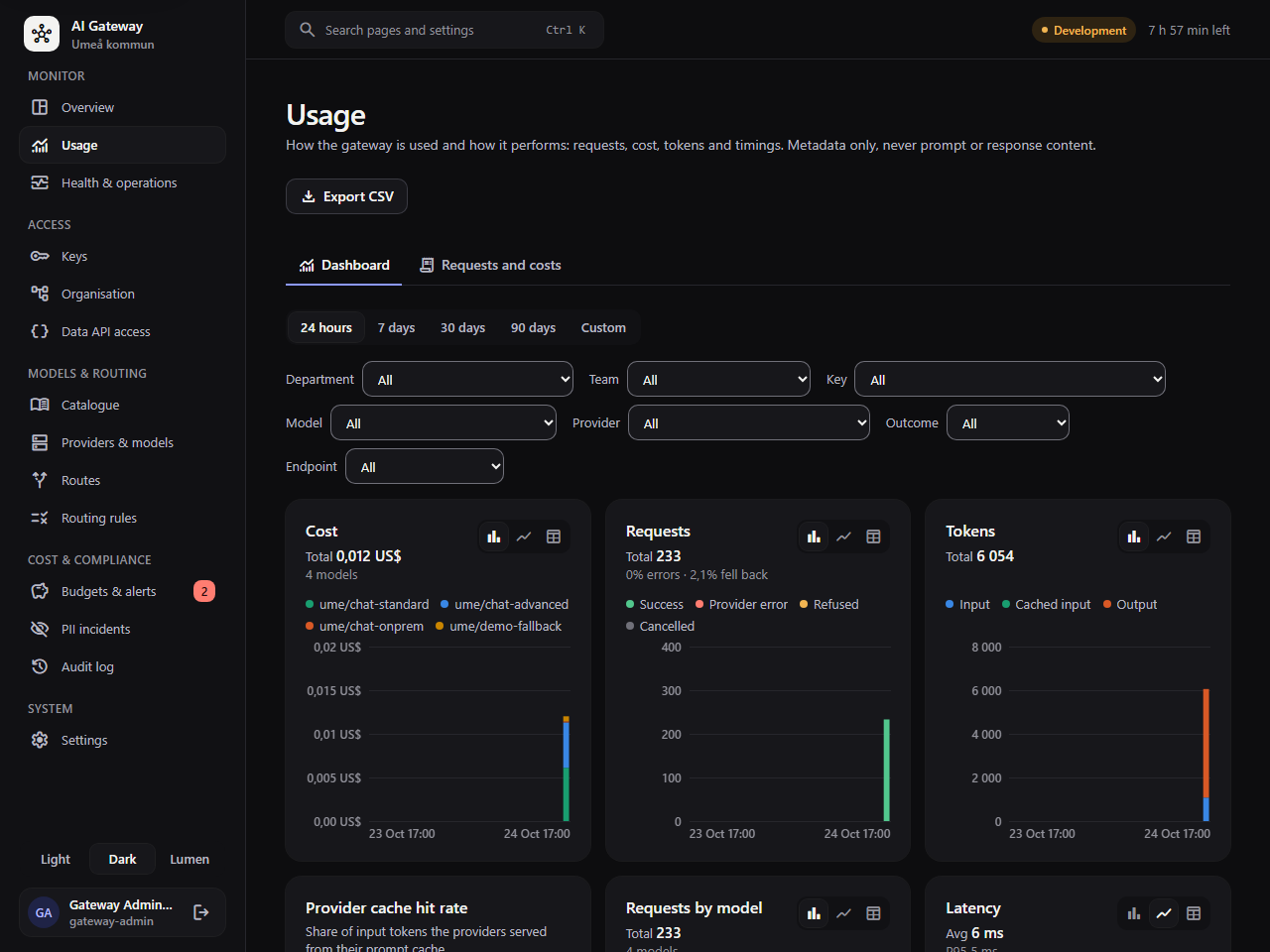 The usage dashboard with cost, requests, latency and time to first token