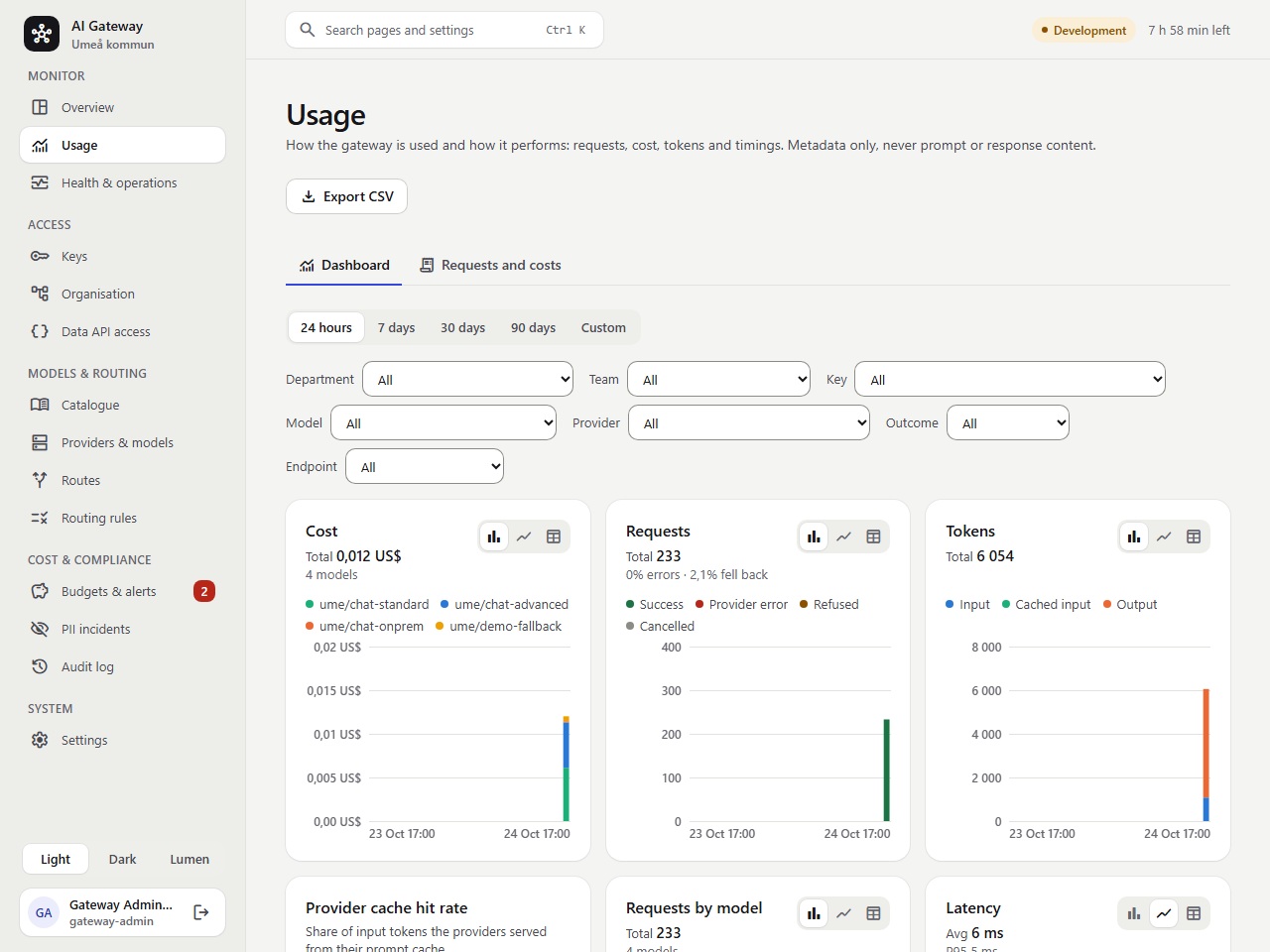 The usage dashboard with cost, requests, latency and time to first token